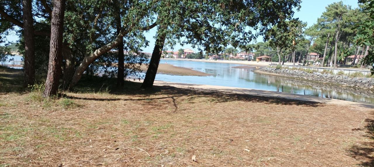 Chalet Le Ticaco Soustons Plage Avec Wifi Satellite Exterior foto