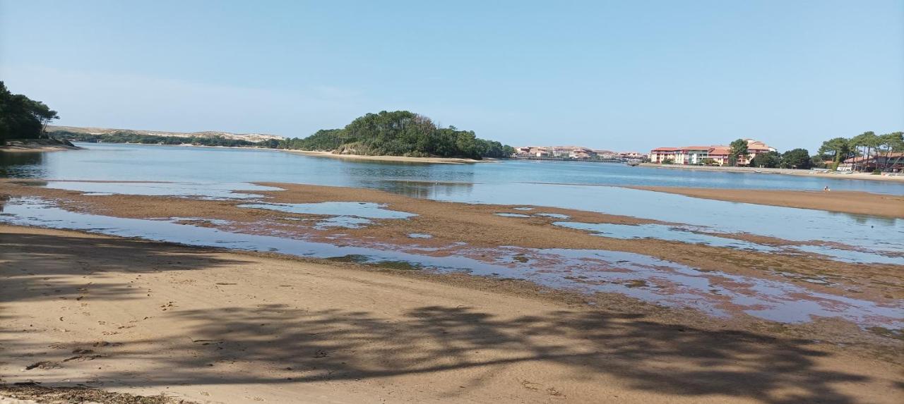 Chalet Le Ticaco Soustons Plage Avec Wifi Satellite Exterior foto